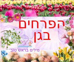 משה שקרוקה