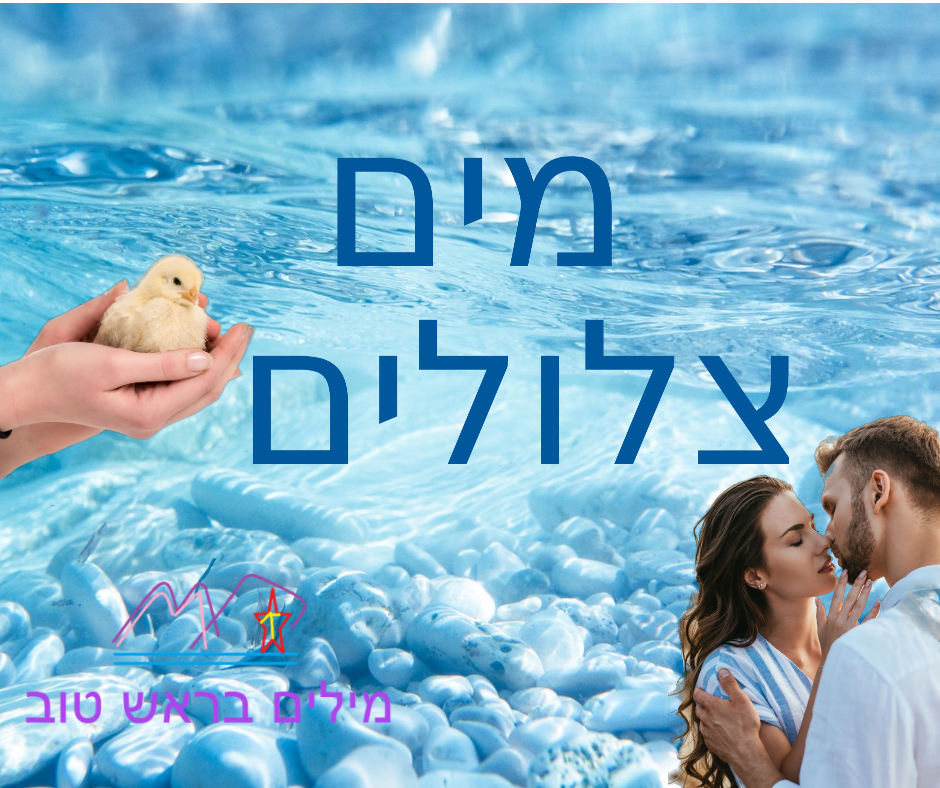 משה שקרוקה