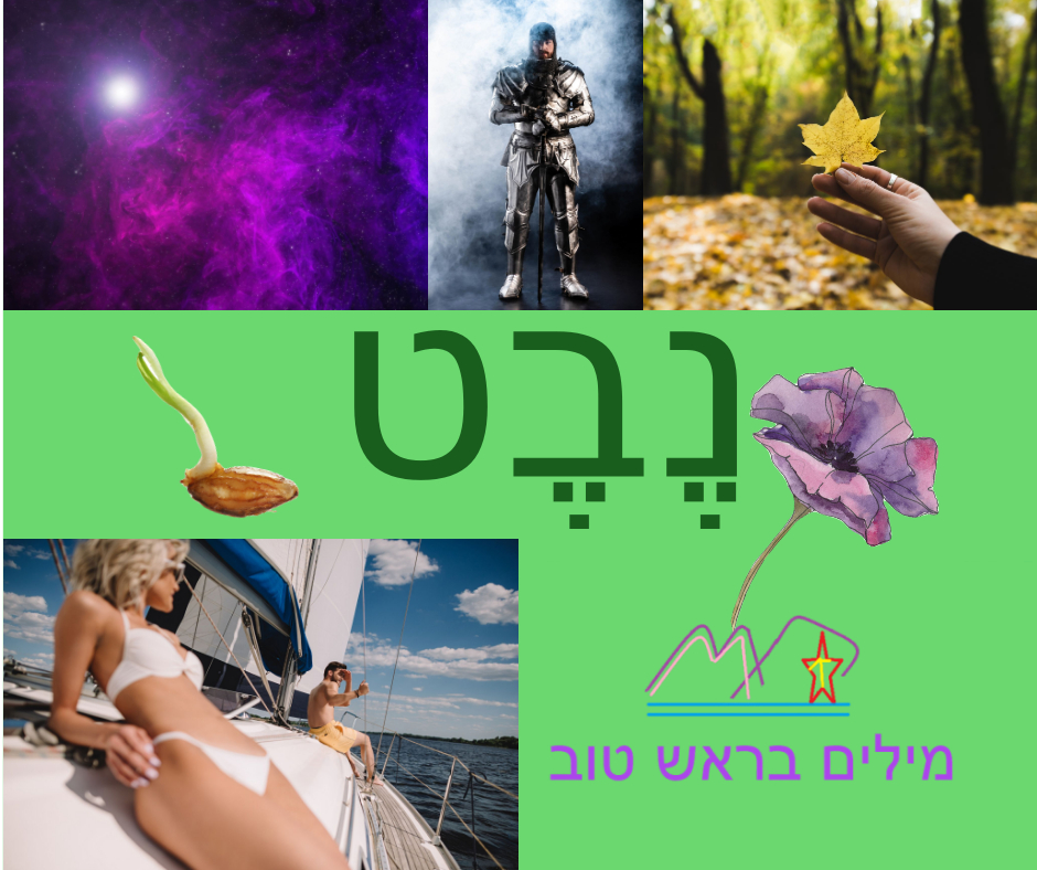 משה שקרוקה