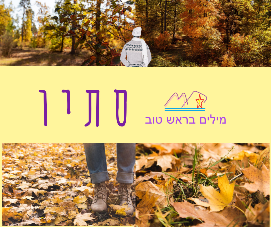 משה שקרוקה